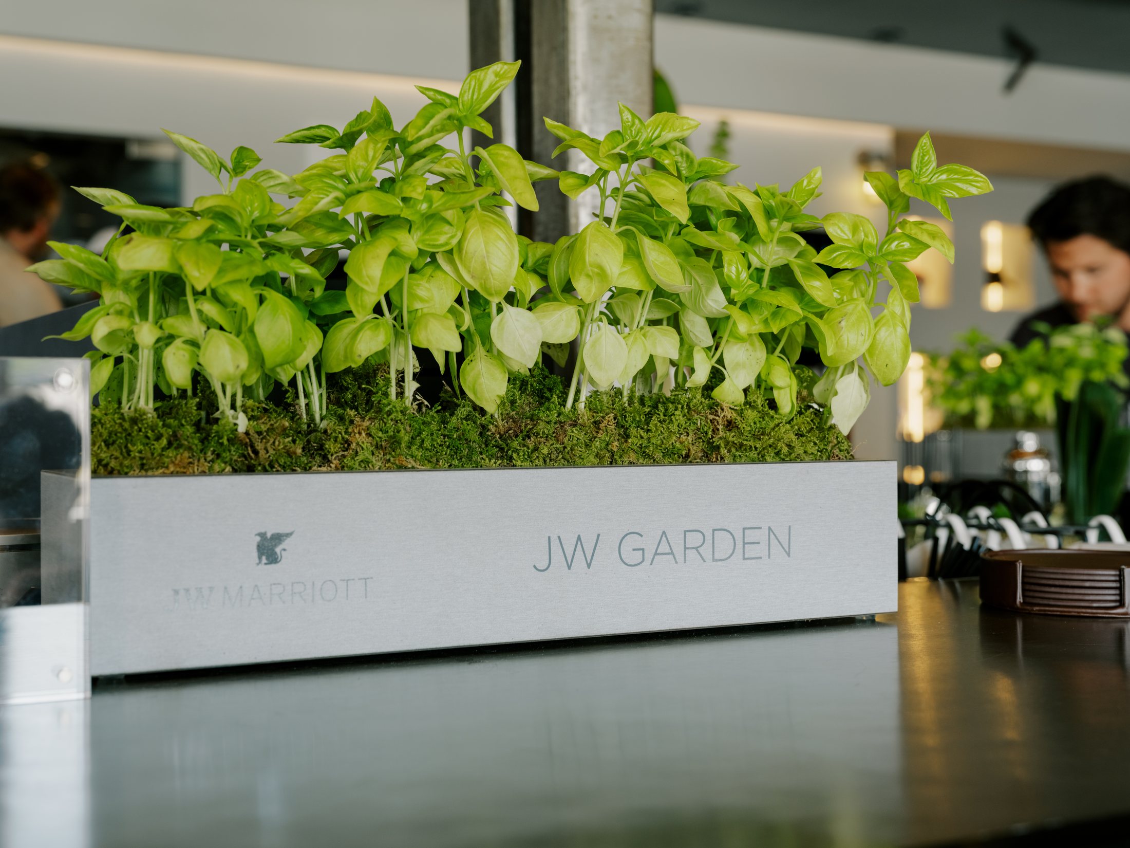 The live JW Garden activation inside the BLADE lounge