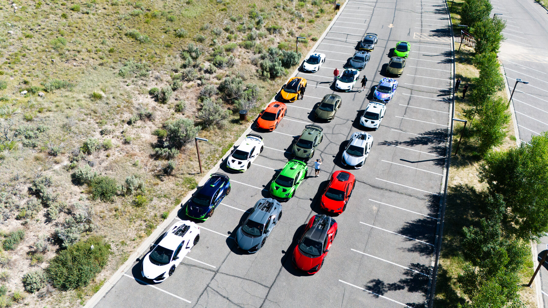The guest fleet parked in rows ahead of a driving day