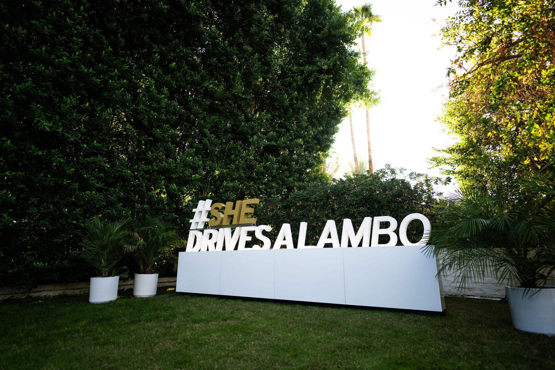 The #SHEDRIVESALAMBO installation on the property lawn